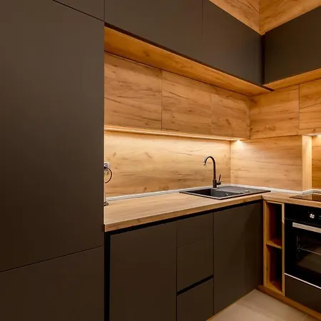 公寓 Athos Square 波德戈里察